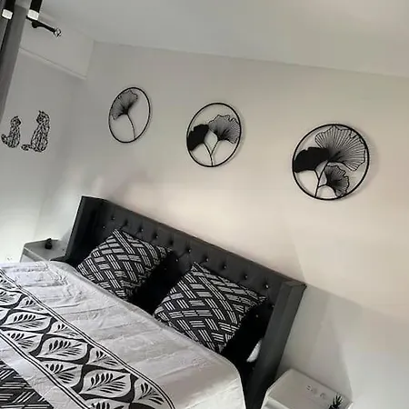 Black Pearl : Basel, Wifi, Parking