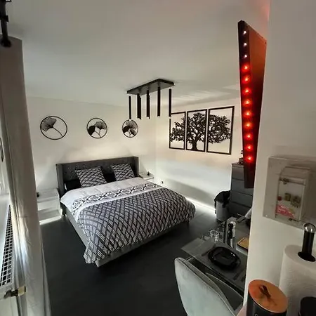 Daire Black Pearl : Basel, Wifi, Parking Saint-Louis (Haut-Rhin)