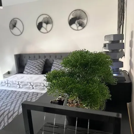 Daire Black Pearl : Basel, Wifi, Parking Saint-Louis (Haut-Rhin)
